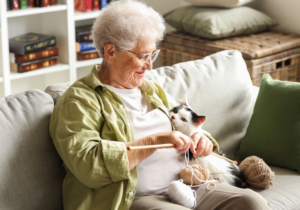 Senior woman with a cute cat knitting at home